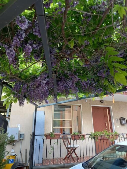 Casa Vacanze Quinci-Valle Quincinetto Zewnętrze zdjęcie
